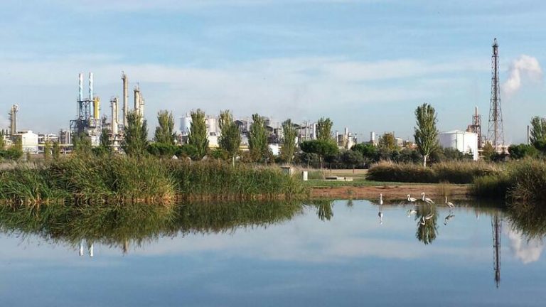 La autoridad de competencia portuguesa aprueba la OPA de Bondalti sobre Ercros