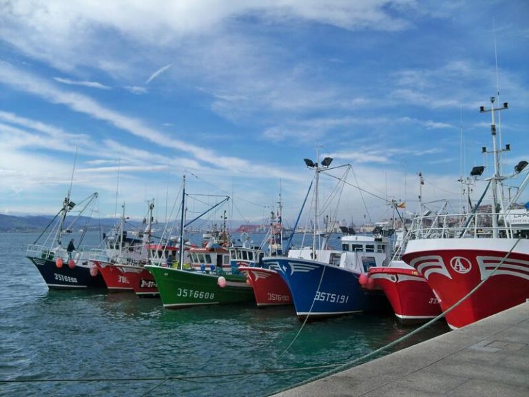 España no tolera la caza furtiva marina: mano dura contra la pesca ilegal
