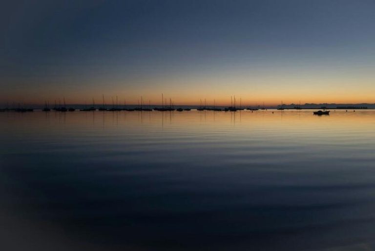 Movimientos sociales y ecológicos piden a López Miras que se implique más en la recuperación del Mar Menor