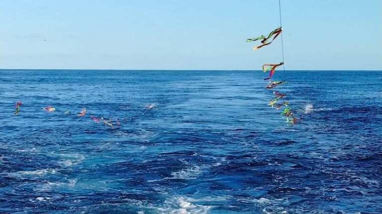 SEO/BirdLife propone a organizaciones pesqueras espantapájaros para reducir las capturas accidentales de aves en el mar