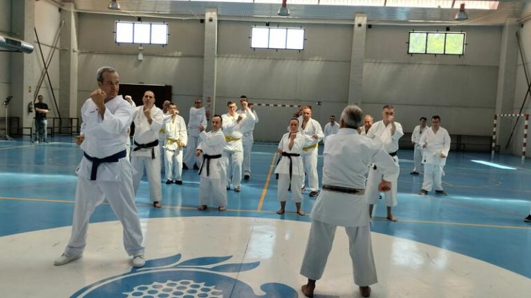 Descubre cómo el karate empodera a personas con capacidades diferentes
