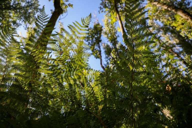 Casi dos tercios de los españoles no se involucran en la lucha contra el cambio climático