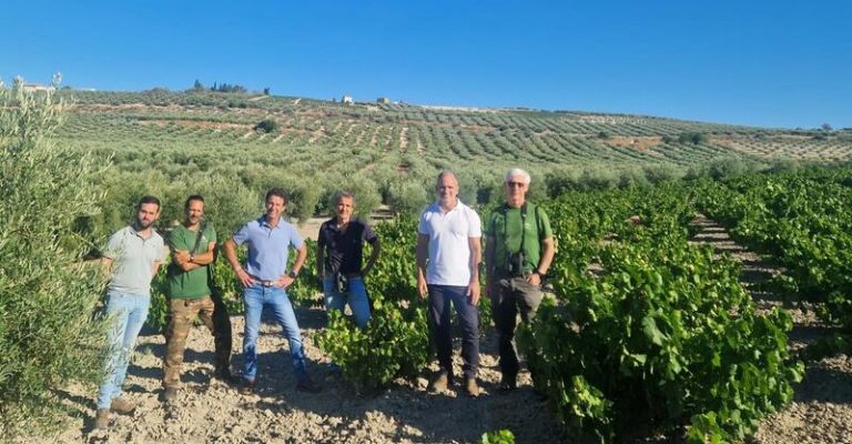 El inconfundible alzacola rojizo: Descubriendo el ave que revela la salud de nuestros ecosistemas andaluces