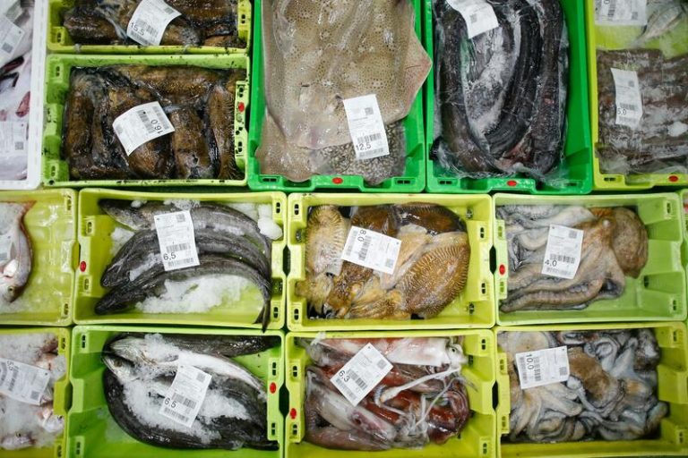 Anfaco Cecopesca exige aclaración de terminología para productos veganos similares al pescado