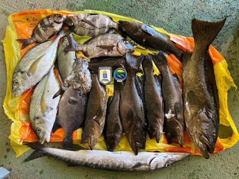 Incautan 55 kilos de pescado capturado en la reserva marina del Mar de Las Calmas