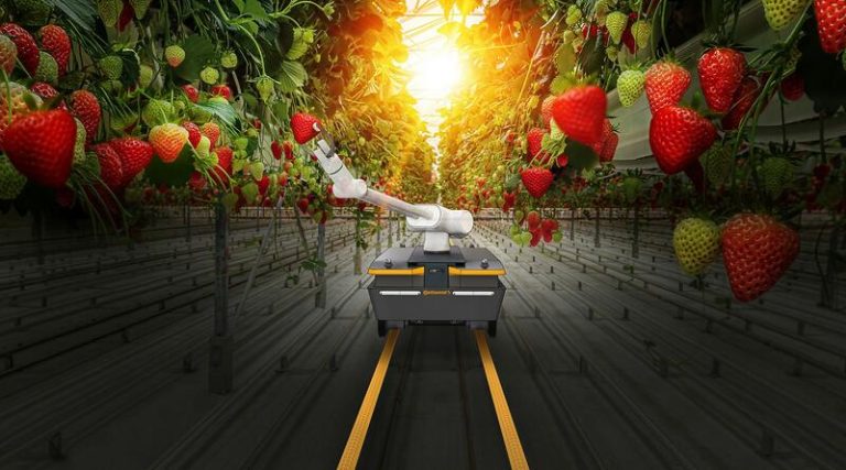 Continental y Amazon Web Services se unen para desarrollar soluciones de software para robots móviles