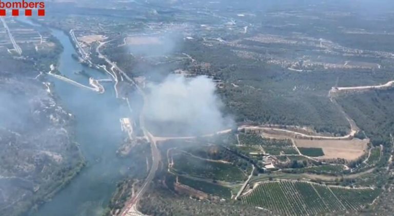 ¡Domado el fuego! Incendio forestal en Xerta, Tarragona, cerca de la central eléctrica