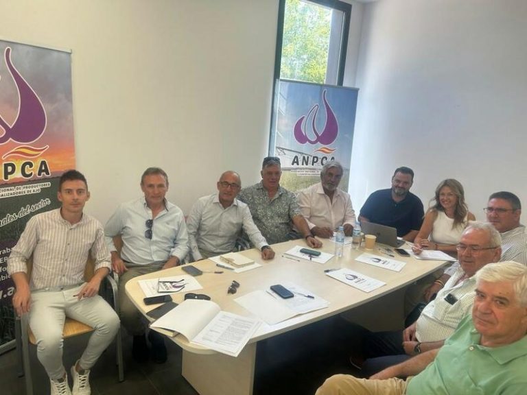 El ajo español 2024 cosecha una temporada 