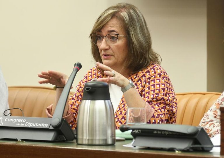 El 44% de fondos europeos 'NGEU' se han concedido a grandes empresas y el 16% a microempresas