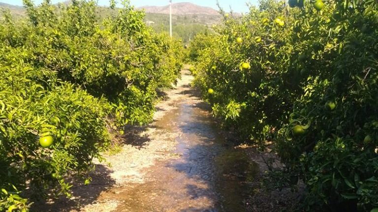 AVA-Asaja reclama medidas hídricas ante las nuevas restricciones de riego en el Alto Palancia