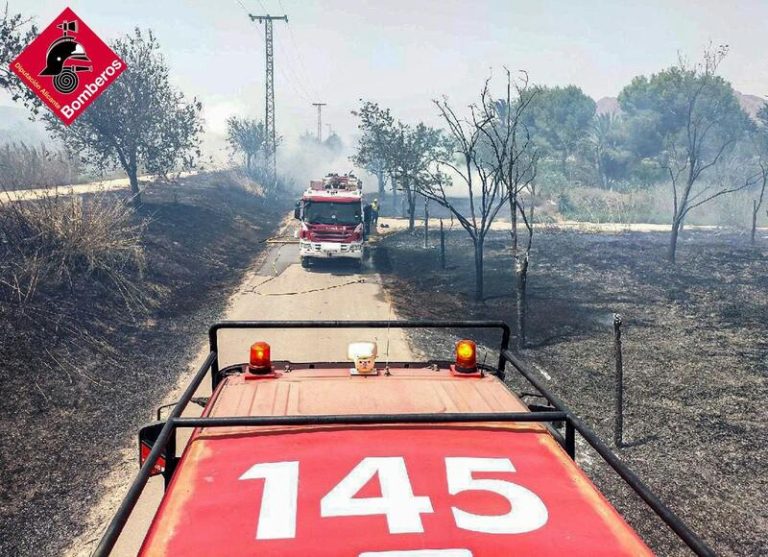¡Alerta de emergencia! Incendio forestal se propaga velozmente cerca de Benasau