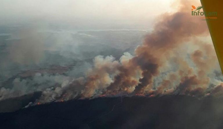 El incendio forestal en Valverdejo: 222 personas luchan contra el fuego
