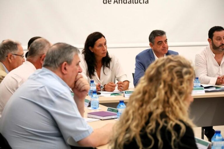 Andalucía presiona al Gobierno para que tome medidas drásticas ante la saturación en la acogida de menores migrantes
