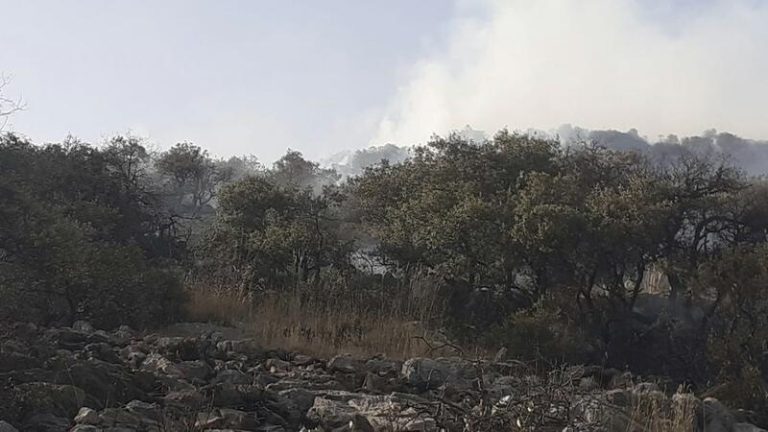 Apagan el incendio forestal de Iznalloz , que calcinó 17,5 hectáreas de encinar y pasto