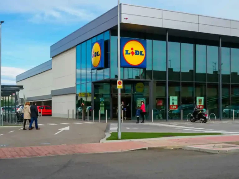 El estor térmico sin taladros de Lidl llega hoy: protege del calor por menos de 8 euros