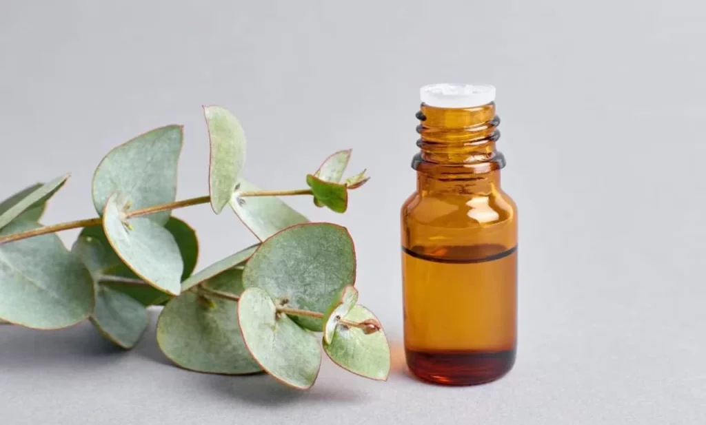 Aceite de eucalipto de limón: un repelente natural y eficaz