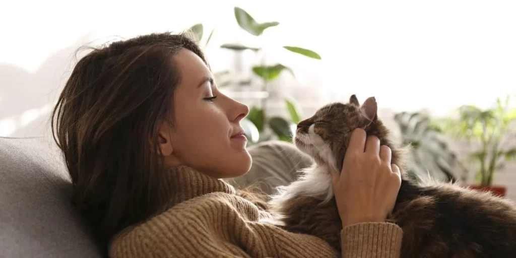 Adaptabilidad felina a la personalidad del cuidador