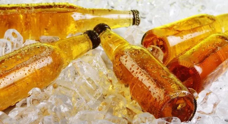 Birragoza 2026: el festival de cerveza artesana de Zaragoza vuelve el 28 y 29 de agosto