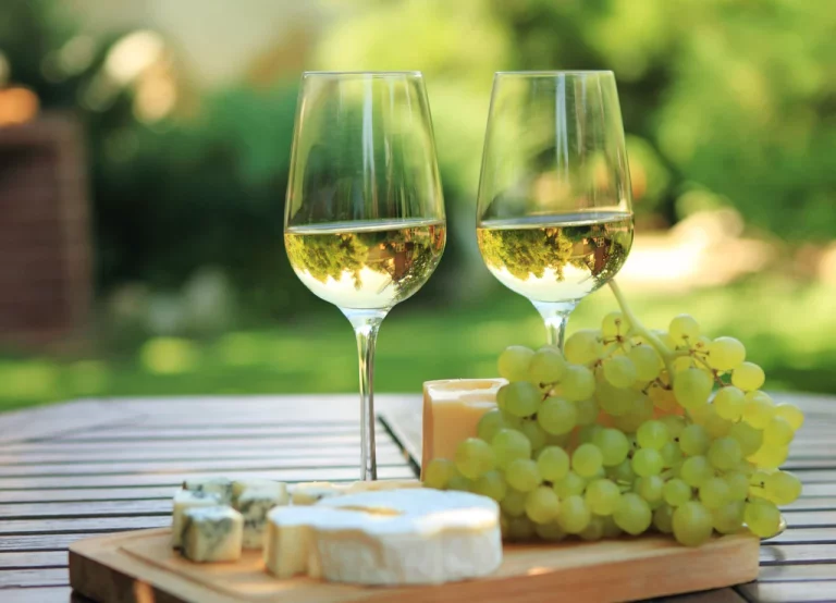 La destilería '987' lanza vermuts inéditos y anuncia expansión: el Bierzo se consolida en la coctelería artesanal