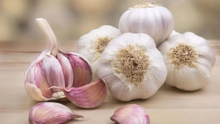 Conoce todos los beneficios del ajo y cómo incorporarlo en tu dieta diaria