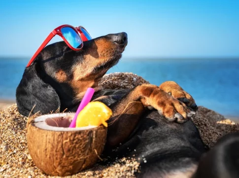 Consejos para unas vacaciones sin estrés Consejos para unas vacaciones sin estrés