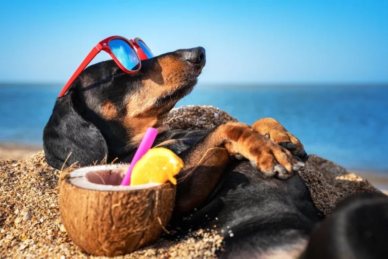 El aviso de un abogado: irse de vacaciones sin avisar puede acabar en despido sin indemnización