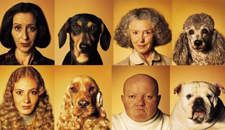 Descubre por qué los perros se parecen a sus dueños