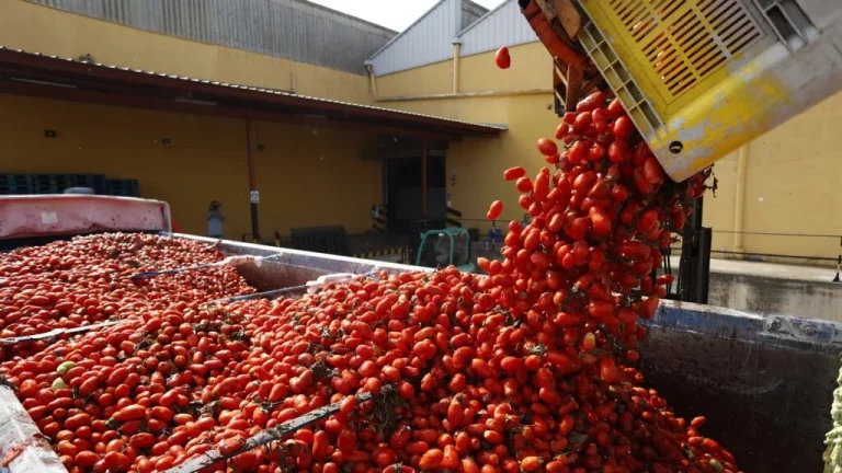 La curiosa costumbre de la Tomatina de Buñol que no conocías