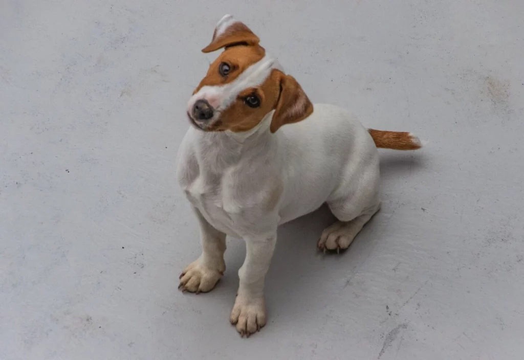 Palabras de correccion