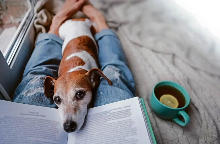 Para amantes de las mascotas: 5 libros que no te puedes perder