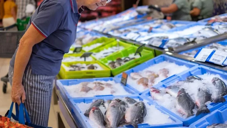 La OCU advierte: Solo un supermercado cumple todos los requisitos en la venta de pescado La OCU advierte: Solo un supermercado cumple todos los requisitos en la venta de pescado