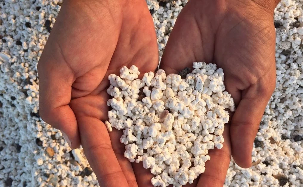 Playa de Las Fuentes, Castellón y Playa de las Palomitas, Fuerteventura