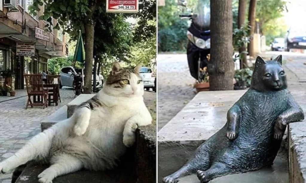 Las mejores esculturas del mundo que no conoces: de un Cristo submarino al gato ‘pasota’