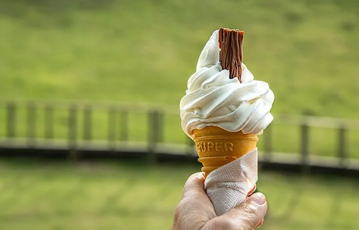 Día: variedad, colaboración y un catálogo en expansión