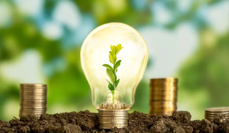 El ahorro energético a través del uso adecuado de los electrodomésticos