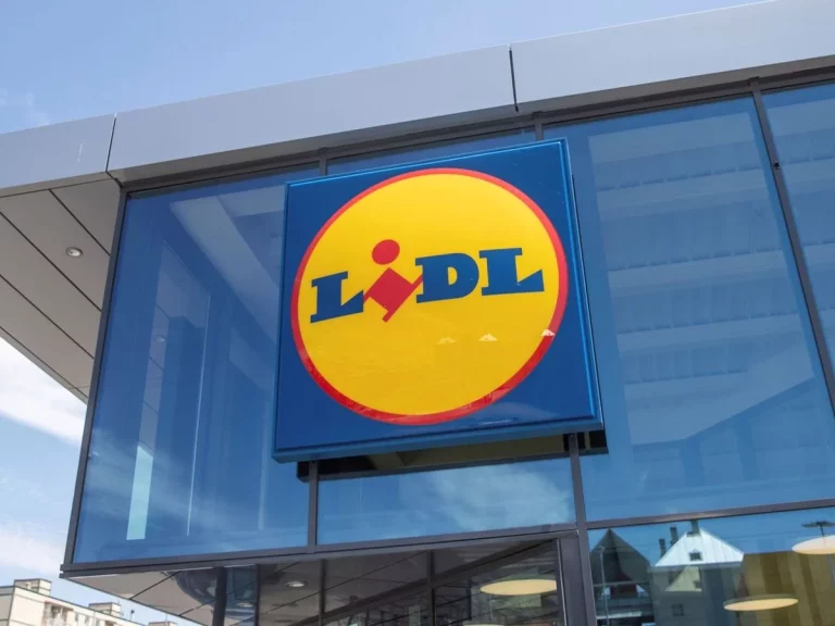 Prepara ricos helados caseros con el invento de Lidl para que queden casi profesionales
