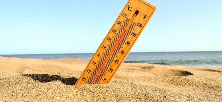 España registra la peor semana de muertes por calor a principios de agosto