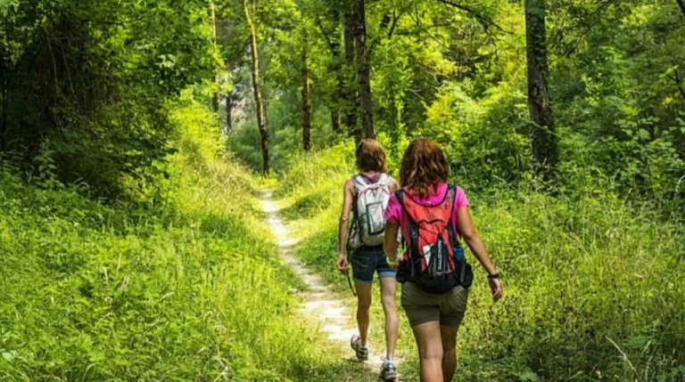 ¿De senderismo en verano? Cuidado con estas peligrosas serpientes españolas