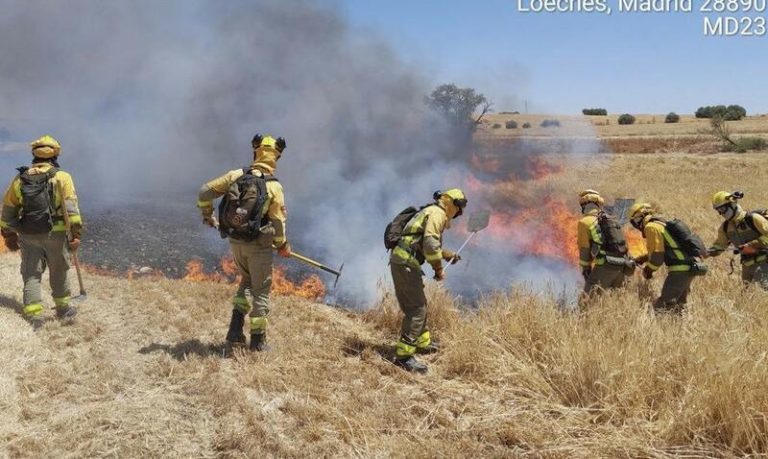 Investigan a 4 personas por el incendio de Loeches, que comenzó por la chispa de una cosechadora