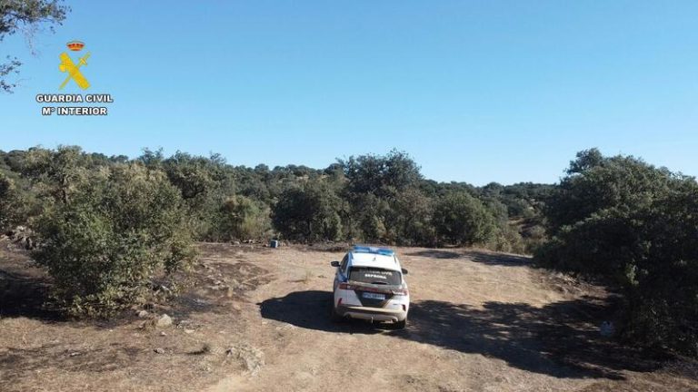 Investigan a 4 personas como presuntos autores de incendios forestales en Cáceres