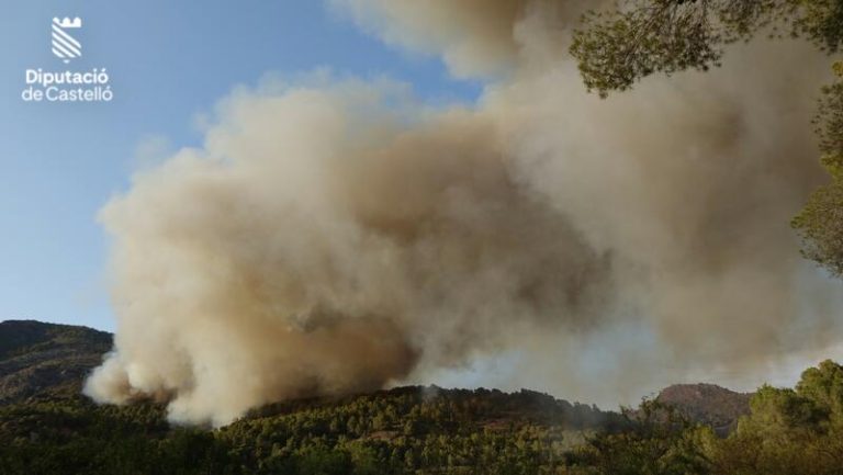 Domado el fuego en Benicàssim: las llamas ceden terreno