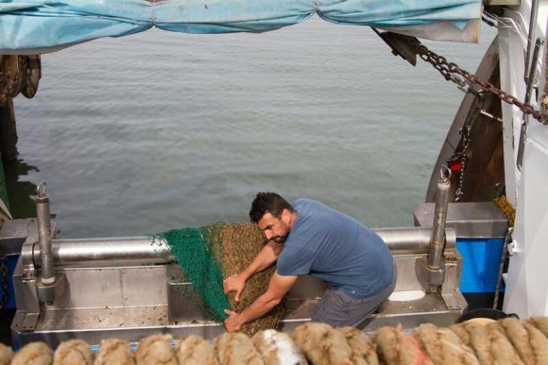 La Comisión Europea aprueba el Plan de Gestión andaluz para la pesca artesanal de la draga