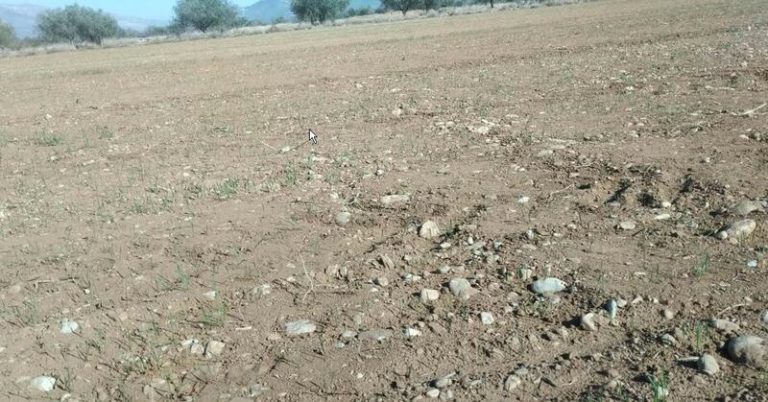 Indignación en el PP: Sánchez da la espalda a la Comunidad Valenciana y no hace nada contra la sequía