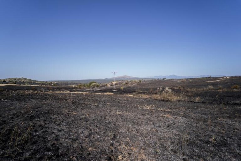 Los incendios forestales arrasan más 30.300 hectáreas en lo que va del 2024