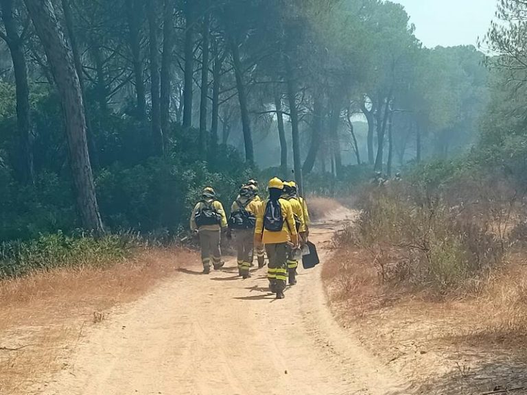 Personal del Infoca trabajan en un incendio forestal en Malpica de Cartaya