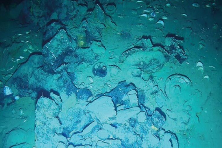 ¡Descubre las increíbles joyas arqueológicas recuperadas del naufragio del galeón español San José en Colombia!