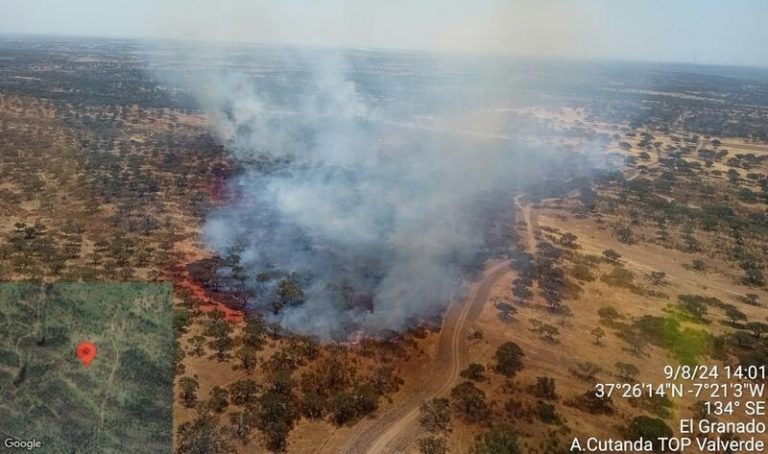Incendio forestal azota Villanueva de los Castillejos: los valientes bomberos del Infoca dan batalla