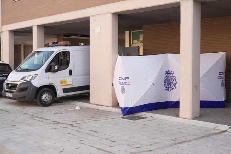 El detenido por el crimen de su pareja en Valladolid confesó: 
