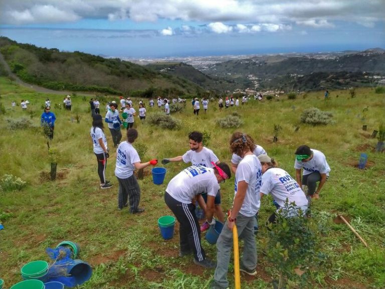 Los trabajadores de BBVA se unen en una maratón de solidaridad durante el mes del voluntariado