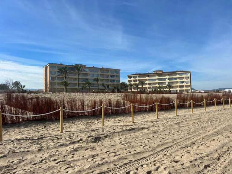 Dos fallecidos por inmersión en las playas de Les Deveses, Dénia y Port Saplaya, Alboraya